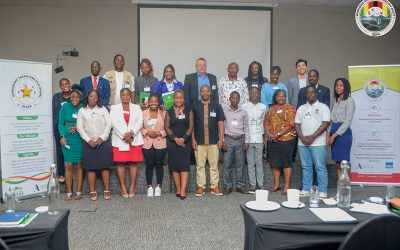 Easing The Cost Of Doing Business In Zimbabwe Is a Game Changer!