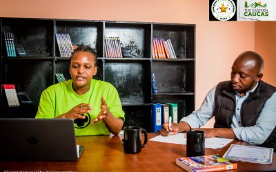 Zimbabwe’s Onerous Tax Regime Under Spotlight as Reform Looms