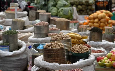 Open Markets and Agriculture in Zimbabwe