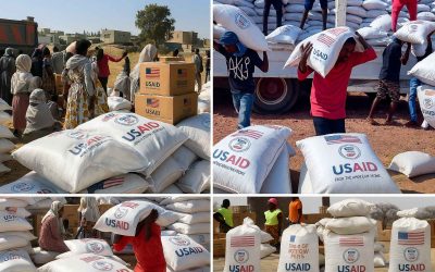 USAID exit- a big opportunity for Zimbabwe!