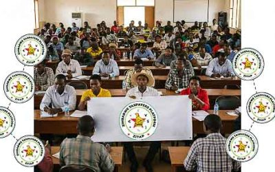 ZITAP: Advocating for Taxpayer Rights