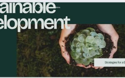 Economic Growth vs. Environmental Protection: Zimbabwe’s Path to Sustainability