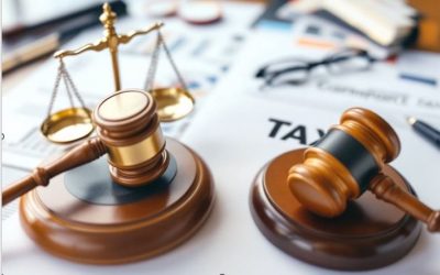 DELTA loses historic Constitutional Court tax appeal…