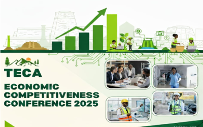 The Zimbabwe competitiveness conference takes shape